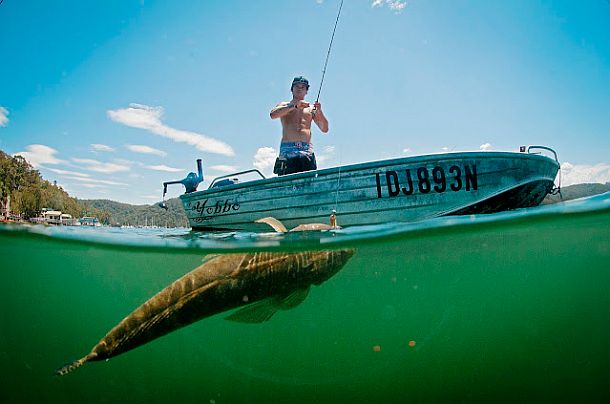 This month’s WAECO ice box winner is…